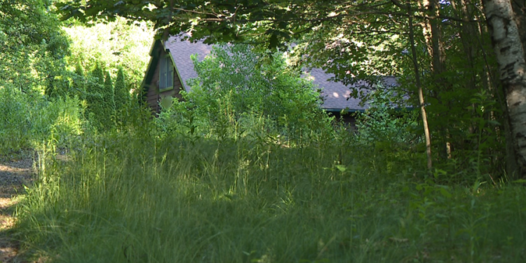 Burlington bodies were found in sleeping bags: SEARCH WARRANT