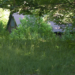 Burlington bodies were found in sleeping bags: SEARCH WARRANT