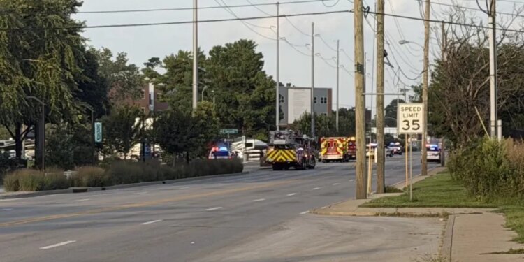 Children among 5 shot at park in Lexington, Kentucky