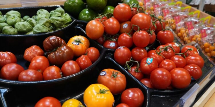 Connecticut residents losing SNAP benefits faster than officials predicted: Report