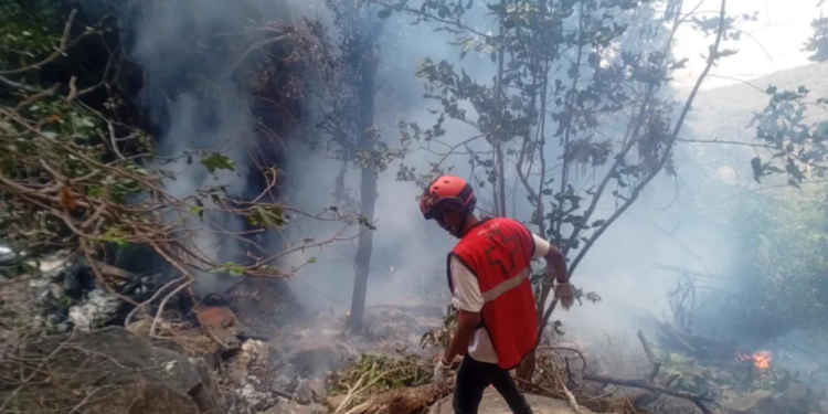 GM of Telemundo stations in Florida among 5 Americans killed in Kenya helicopter crash