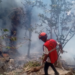 GM of Telemundo stations in Florida among 5 Americans killed in Kenya helicopter crash