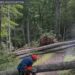 Popular trail in Meriden getting new elevated boardwalk at Giuffrida Park
