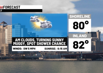 Turning mostly sunny with a spot shower chance