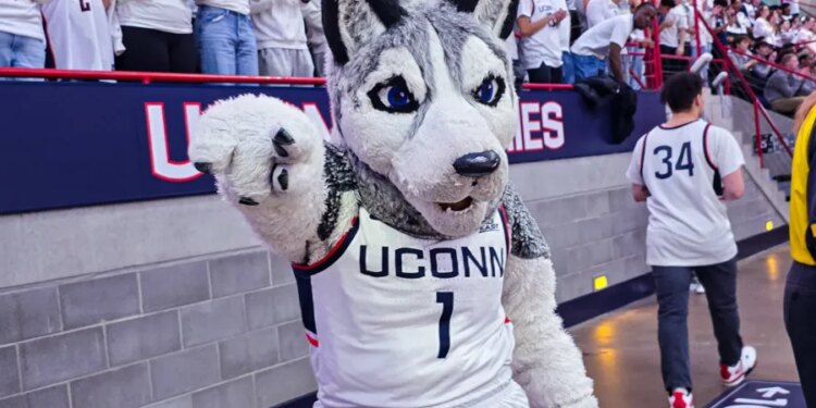 UConn names Andrew Hurley as men's basketball assistant GM