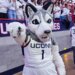 UConn names Andrew Hurley as men's basketball assistant GM