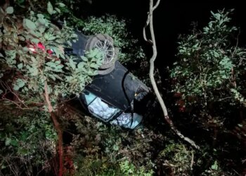 Vehicle upside down in trees following crash on I-95 North in Westport