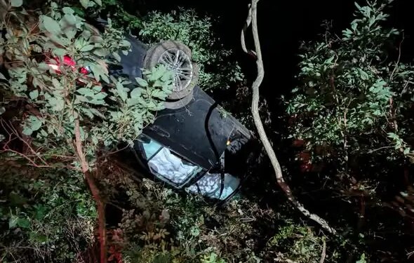 Vehicle upside down in trees following crash on I-95 North in Westport