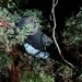 Vehicle upside down in trees following crash on I-95 North in Westport