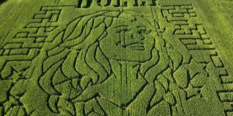 ‘A tribute to her legacy': Brookfield corn maze honors Dolly Parton