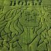 ‘A tribute to her legacy': Brookfield corn maze honors Dolly Parton