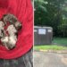 6 newborn puppies found abandoned near trash bin at New Haven condo complex